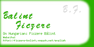 balint ficzere business card
