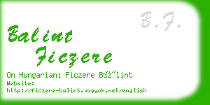 balint ficzere business card